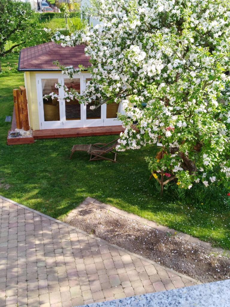 Ferienhaus Kaiser Branchewinda Dış mekan fotoğraf