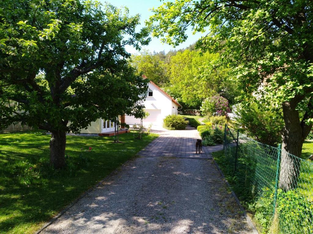 Ferienhaus Kaiser Branchewinda Dış mekan fotoğraf